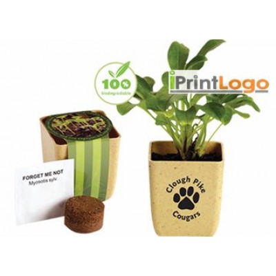 ECO FRIENDLY KITCHEN AND HOME-IGT-FT2411